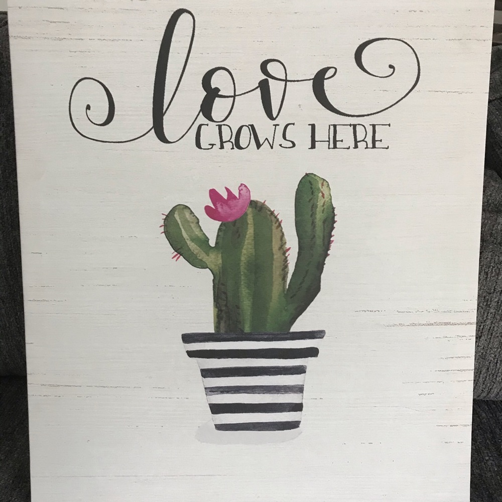 Cactus Picture